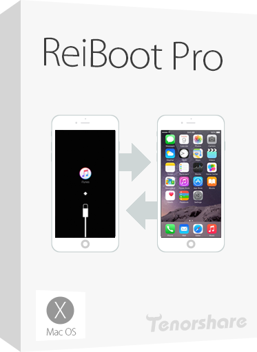 Tenorshare ReiBoot Pro 10.8.3 Registration Key Plus Full Version Download 
