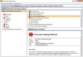 Burp Suite Professional 2023.7.4 Crack + License Key Download