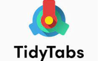 TidyTabs Pro 1.23.1 Crack Plus Serial Key Download 2023 Free